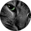 M M Avatar