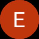 E Avatar